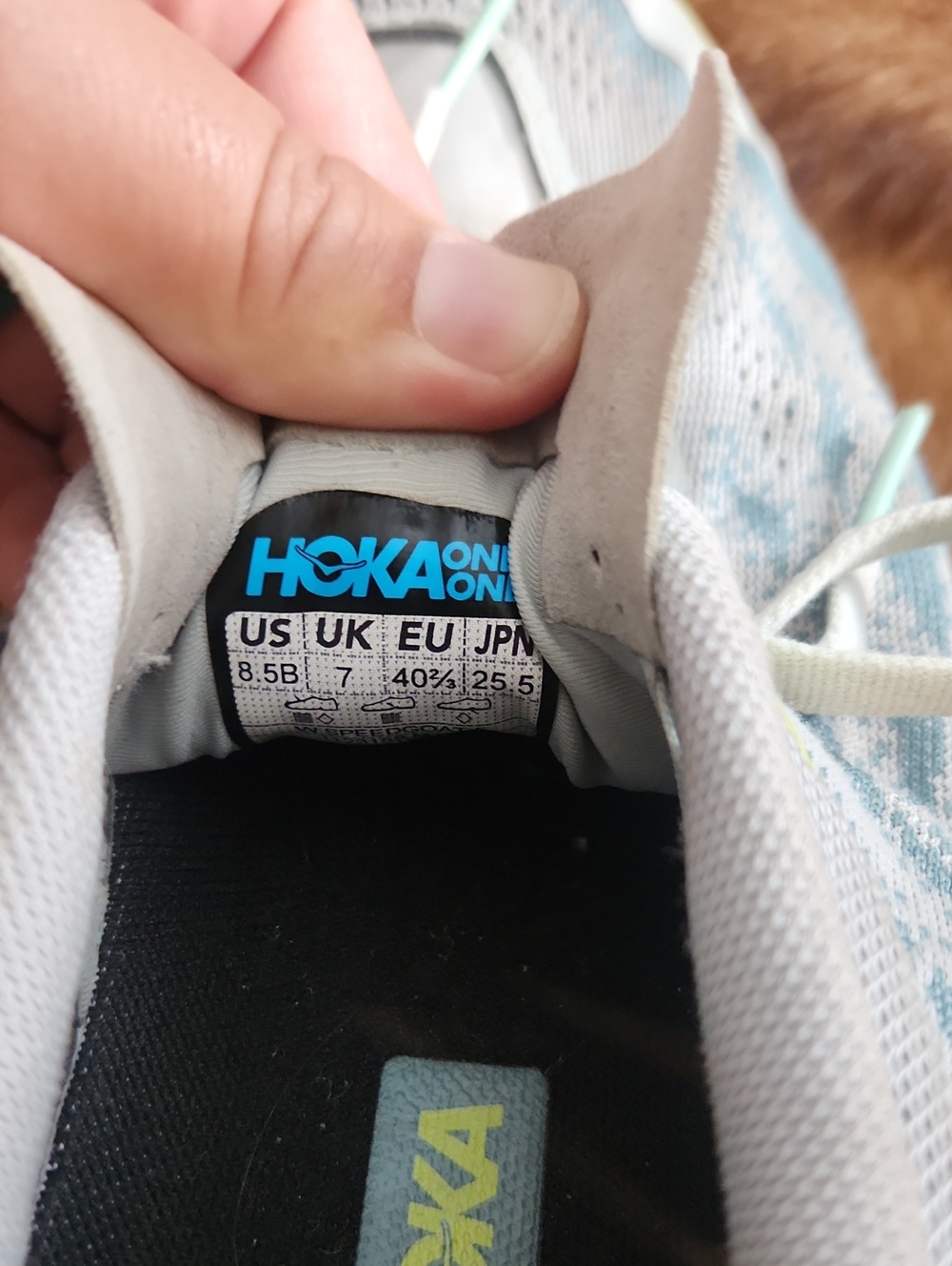 Hoka One One Speedgoat 5 Size 8.5 Blue Green Colorway - Picture 4 of 8